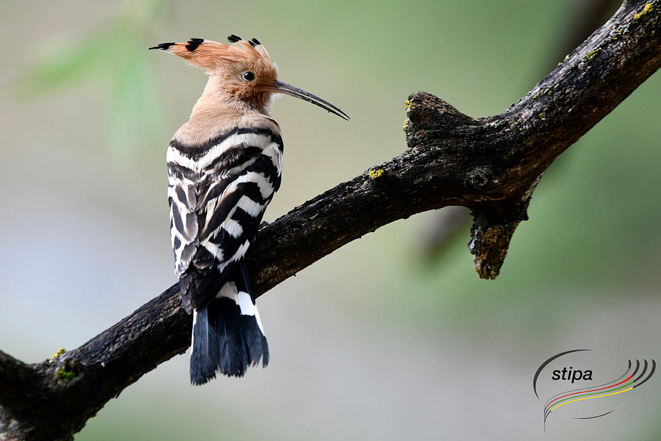 Geopolitische Perspektive